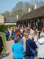 WG250322-112 - Warren Greatrex Stable Visit